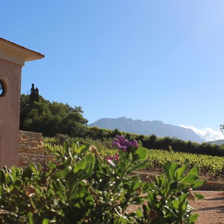 La Bastide - Le Grenache - Le Syrah Au Domaine Chateau Henri Bonnaud Le Tholonet Exterior foto