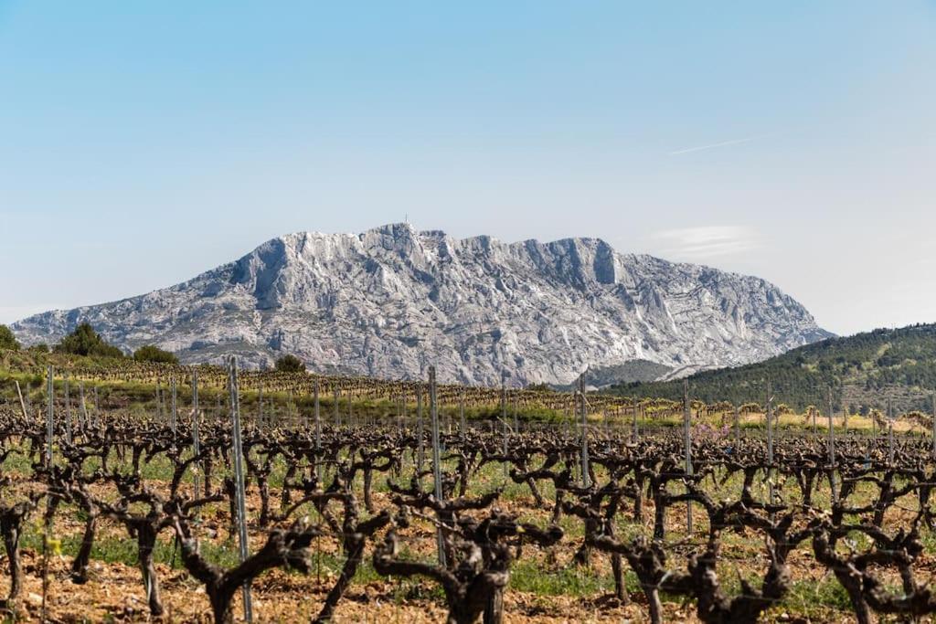 La Bastide - Le Grenache - Le Syrah Au Domaine Chateau Henri Bonnaud Le Tholonet Exterior foto